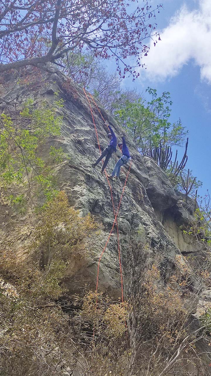 Pedra Campinado